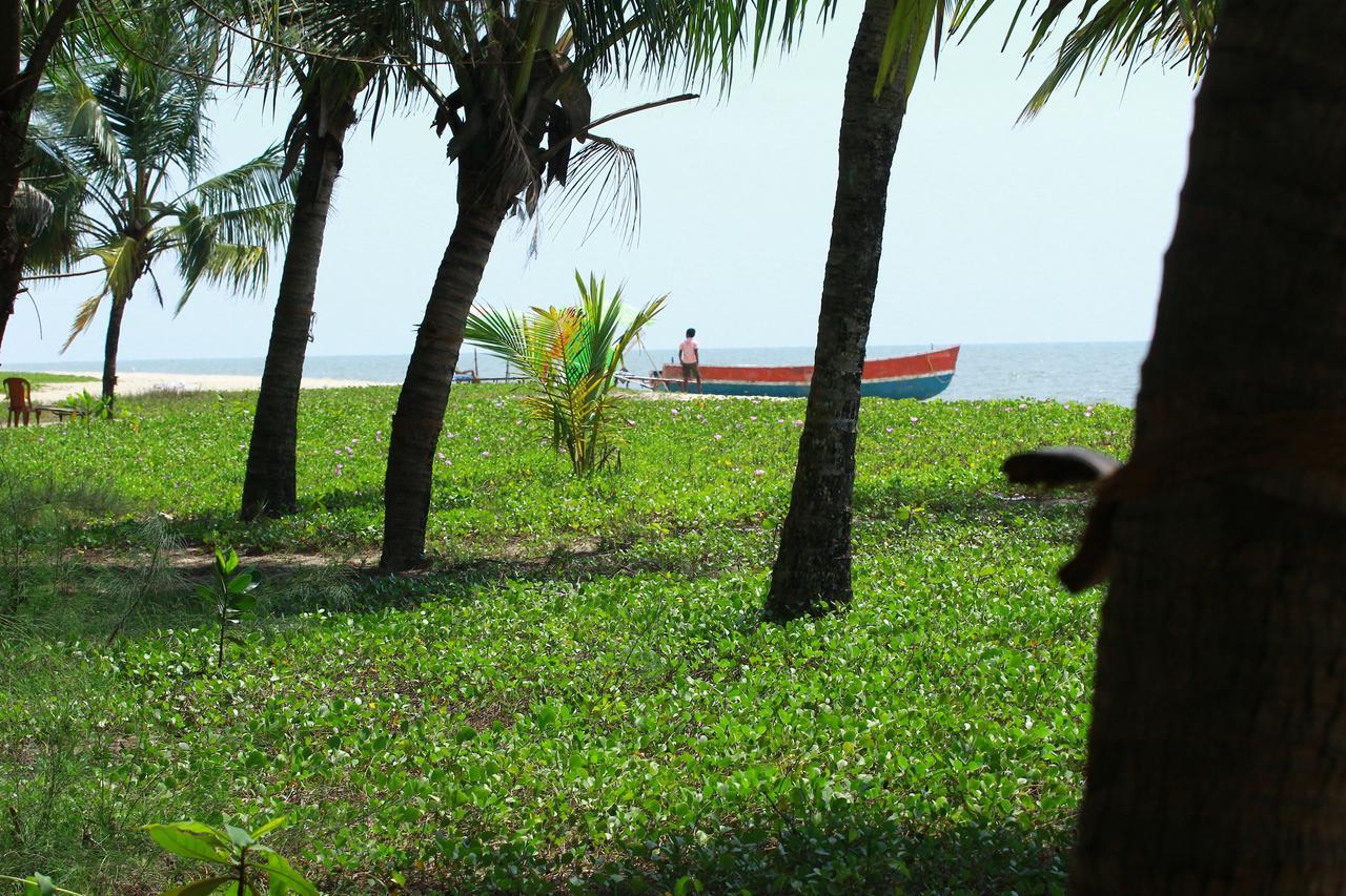 Marari Peace Homestay Mararikulam Bagian luar foto